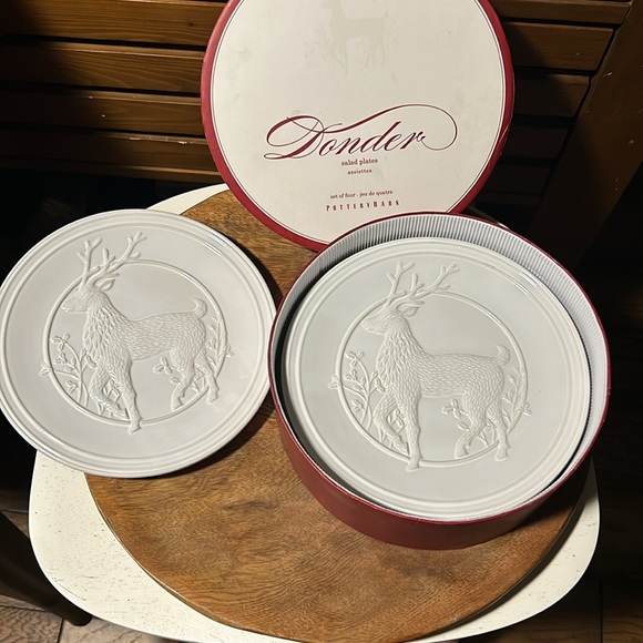 Pottery Barn Donder Set Of 4 Salad plate’s - Picture 2 of 6